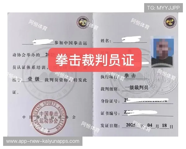 世界拳击职业联赛赛季后裁判评估公开征集意见，拳击比赛 裁判